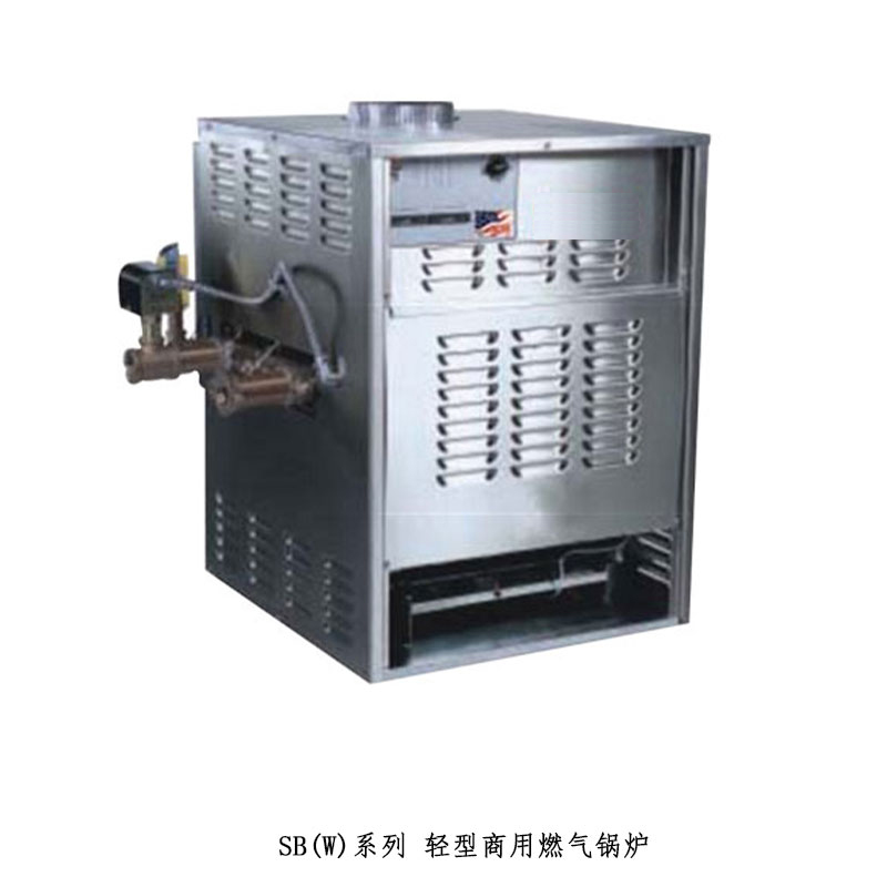 燃?xì)忏~管鍋爐